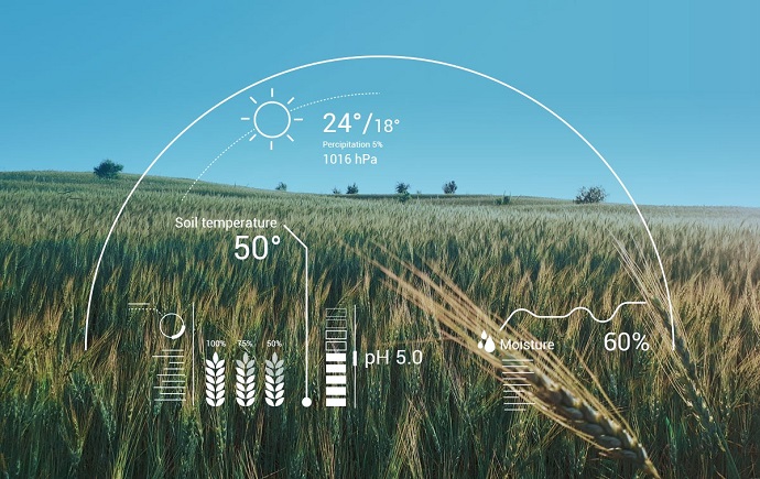 کشاورزی مدرن با هوش مصنوعی