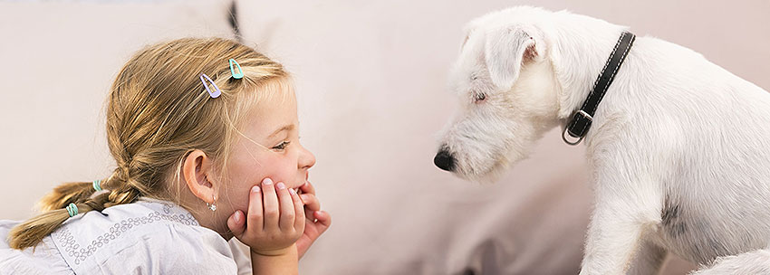 وجود حیوانات خانگی در خانه خطر ابتلای کودکان به آلرژی‌های خاص را کاهش می‌دهد.