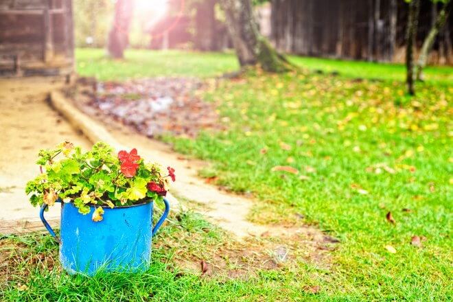 خدمات باغبانی، یک ایده خوب و شاد برای کسب و کار