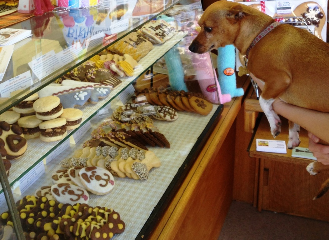 شیرینی فروشی مخصوص حیوانات
