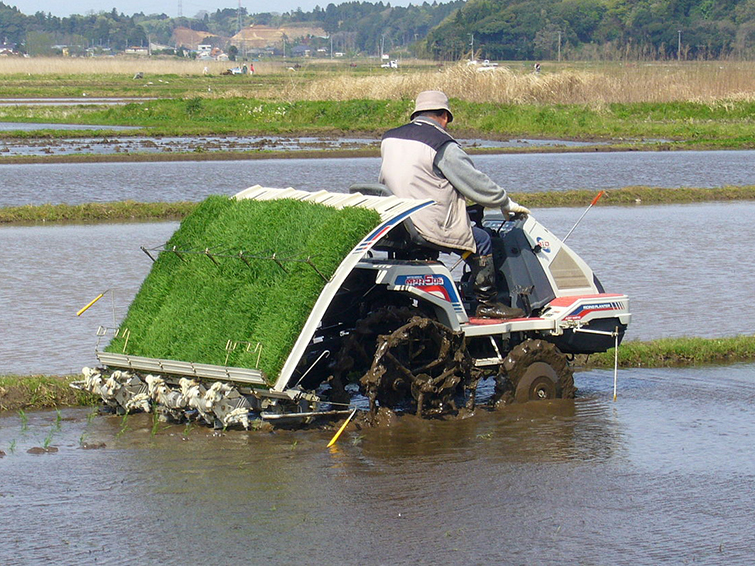 دستگاه مکانیزه کاشت برنج