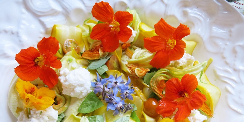 پرورش گل های خوراکی Growing Edible Flowers